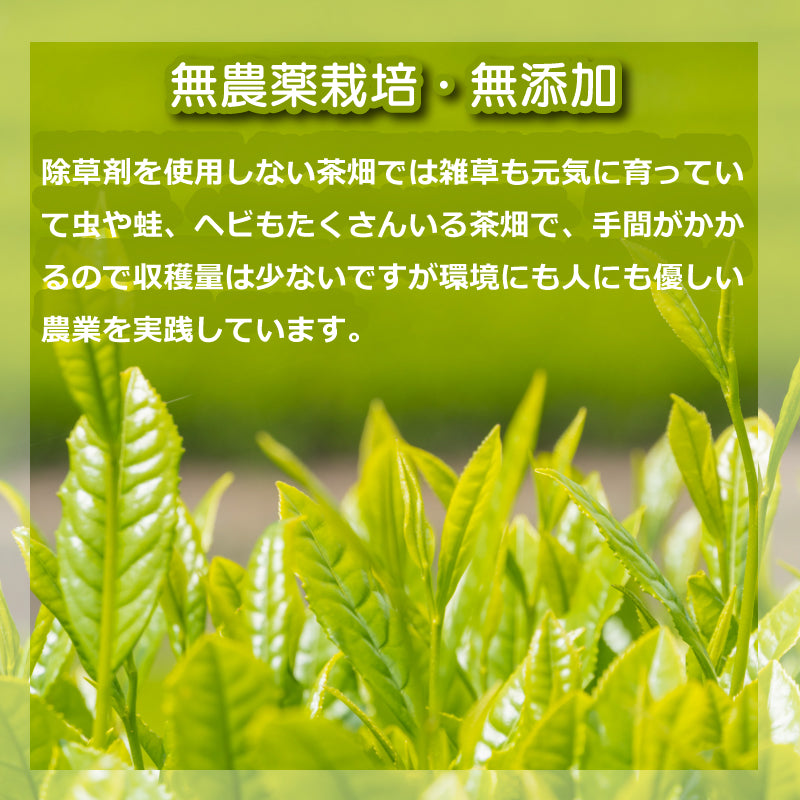佐賀でつくる 香りを楽しむ無農薬栽培 嬉野茶