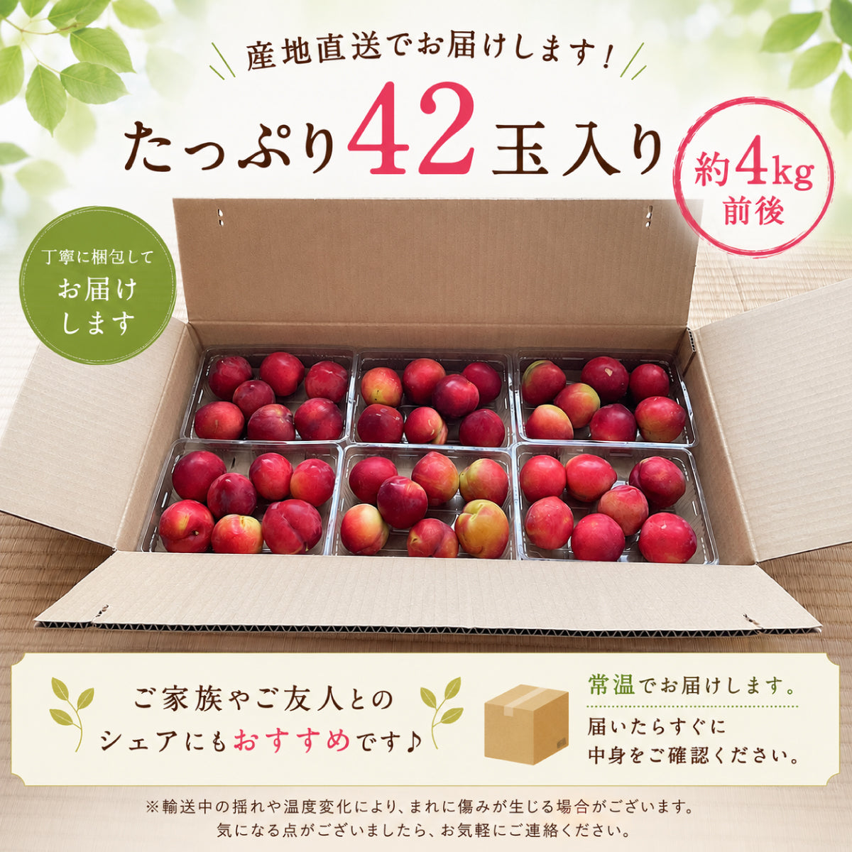 山梨県笛吹市産 すもも 42玉入り 約4kg 減農薬栽培 産地直送 村松農園