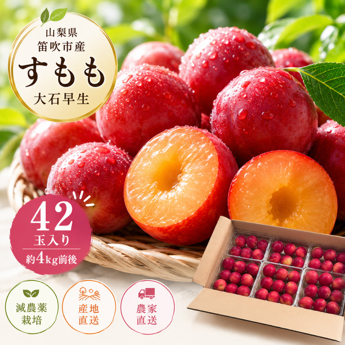 山梨県笛吹市産 すもも 42玉入り 約4kg 減農薬栽培 産地直送 村松農園