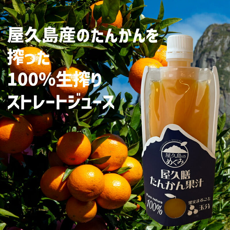 屋久島産 長寿木たんかん100%ストレートジュース 180ml|ビタミンたっぷり贈り物に最適な生搾り果汁