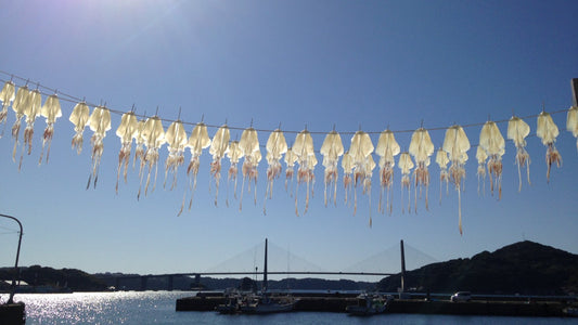 全国を回りたいと思っています