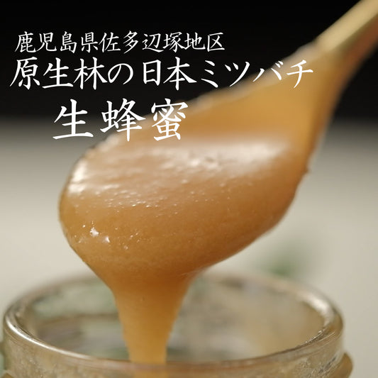 日本ミツバチ 原生林 蜂蜜 生 はちみつ 非加熱 無濾過 鹿児島県 佐多地区 国産 天然蜂蜜 100％ 純粋 蜜源 薬草 原生林 希少 数量限定 産地直送 佐多 国産ハチミツ 濃厚 高級 ギフト プレゼント