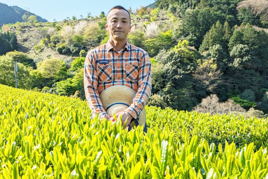 嬉野茶｜太田裕介