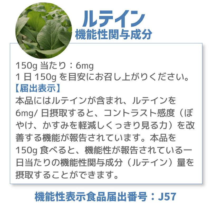 【機能性表示食品】福島・いわき産 浜の小松菜 150g｜ルテイン豊富で視界スッキリ健康サポート 浜の野菜