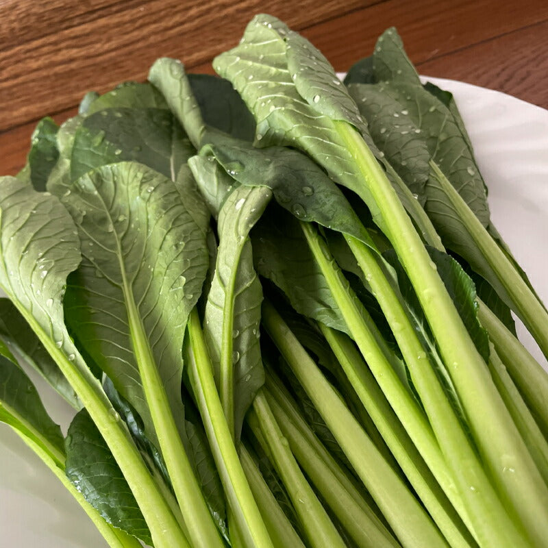 【機能性表示食品】福島・いわき産 浜の小松菜 150g｜ルテイン豊富で視界スッキリ健康サポート 浜の野菜