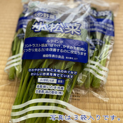 【機能性表示食品】福島・いわき産 浜の小松菜 150g｜ルテイン豊富で視界スッキリ健康サポート 浜の野菜