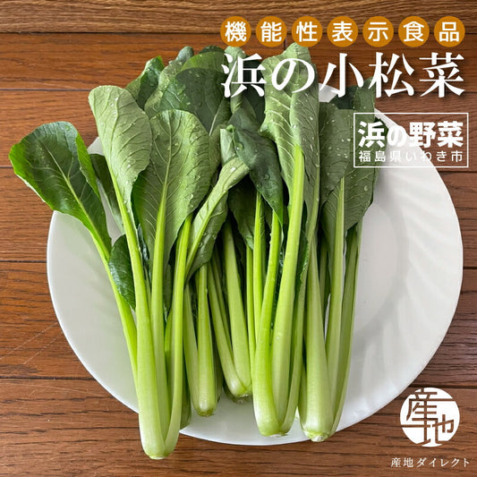 【機能性表示食品】福島・いわき産 浜の小松菜 150g｜ルテイン豊富で視界スッキリ健康サポート 浜の野菜