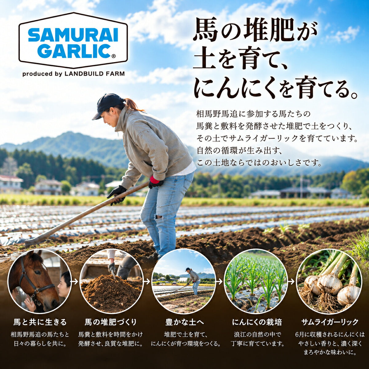 サムライガーリック 七味 ガーリックパウダー 選べる2種類 にんにく調味料 福島県浪江町産 ニンニク スパイス 香辛料 青山椒 唐辛子 国産にんにく ランドビルドファーム SAMURAI GARLIC