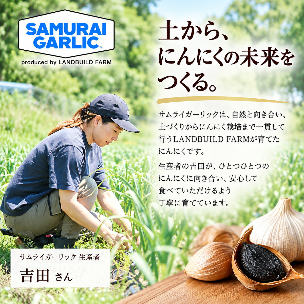 クラフトコーラ サムライガーリック エナジーコーラ 国産にんにく使用 福島県浪江町 ランドビルドファーム SAMURAI GARLIC ご当地ドリンク にんにくコーラ お取り寄せ