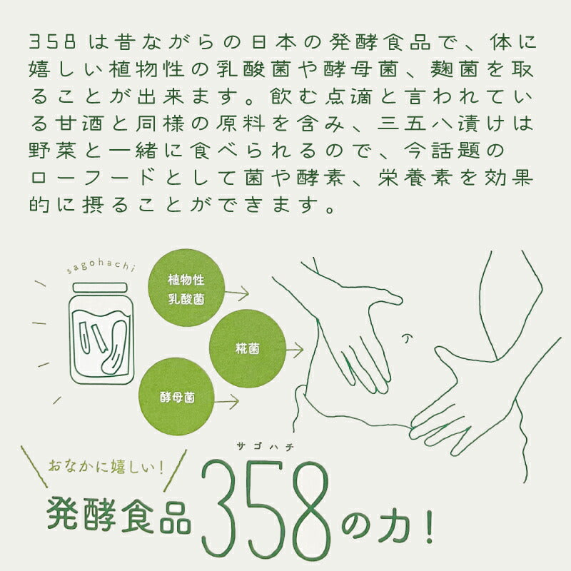 福島の伝統発酵食品【358サゴハチ】植物性乳酸菌で簡単漬物＆調味料に