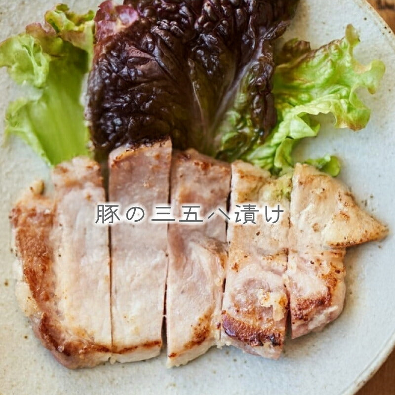 福島の伝統発酵食品【358サゴハチ】植物性乳酸菌で簡単漬物＆調味料に