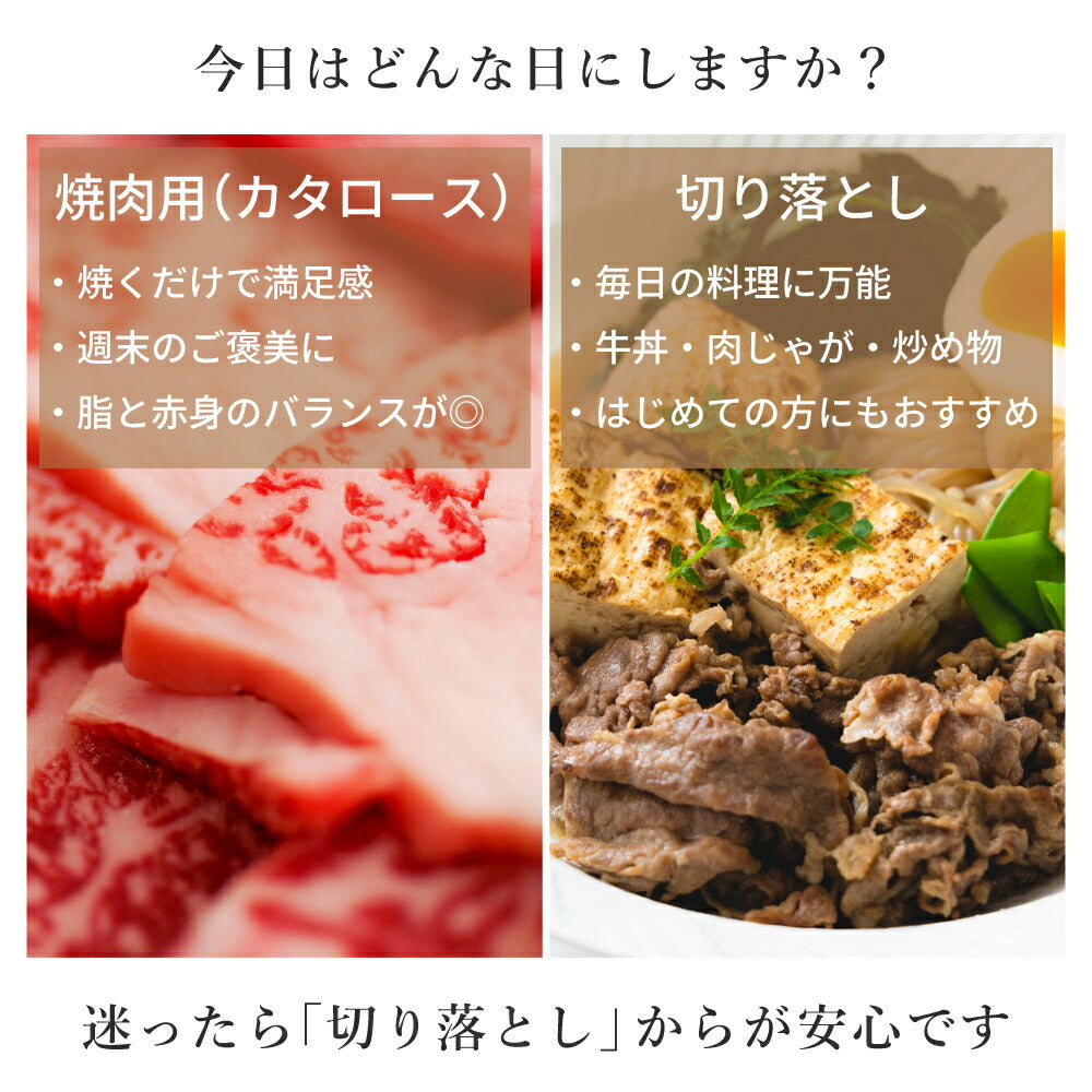 一ノ瀬畜産直送 佐賀和牛（カタロース焼肉350g×2／切り落とし250g×2）佐賀県嬉野 家庭用 ご褒美 冷凍