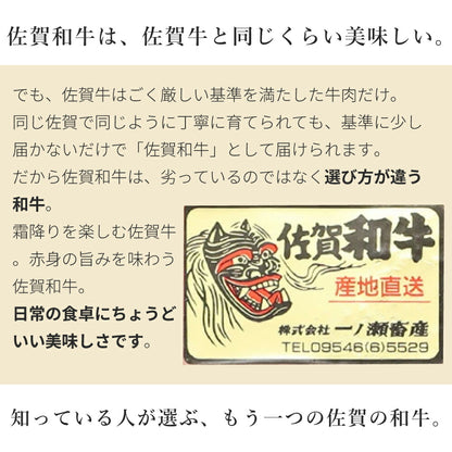 一ノ瀬畜産直送 佐賀和牛（カタロース焼肉350g×2／切り落とし250g×2）佐賀県嬉野 家庭用 ご褒美 冷凍