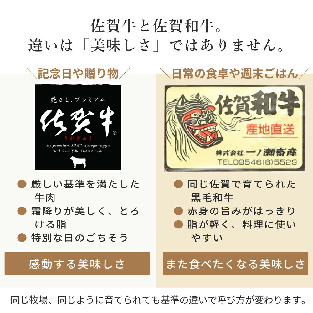 一ノ瀬畜産直送 佐賀和牛（カタロース焼肉350g×2／切り落とし250g×2）佐賀県嬉野 家庭用 ご褒美 冷凍