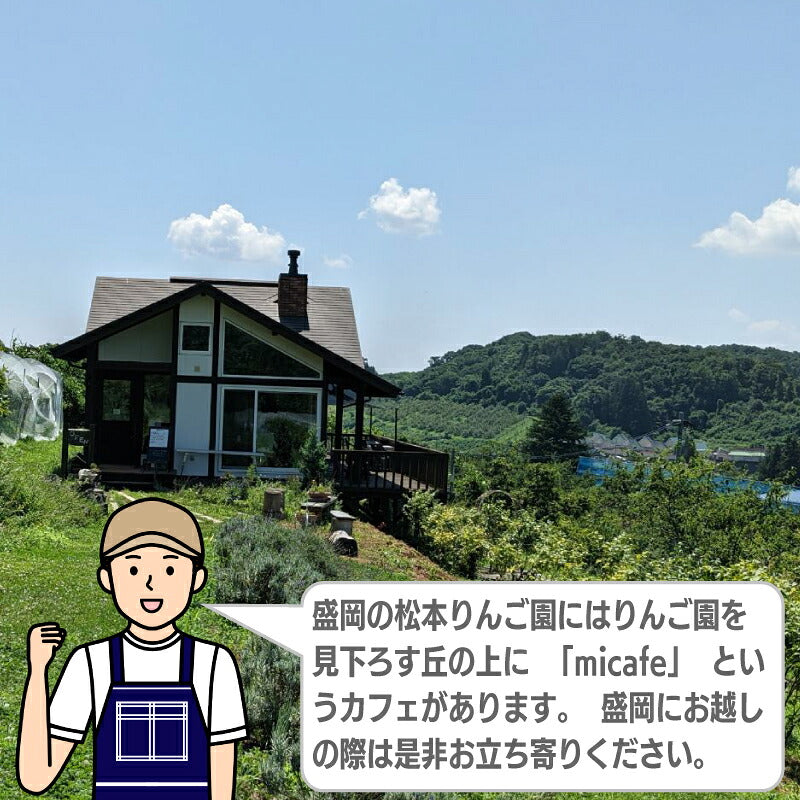 岩手・松本りんご園ストレート果汁100％りんごジュース1000ml瓶入り・200gパウチパック入り