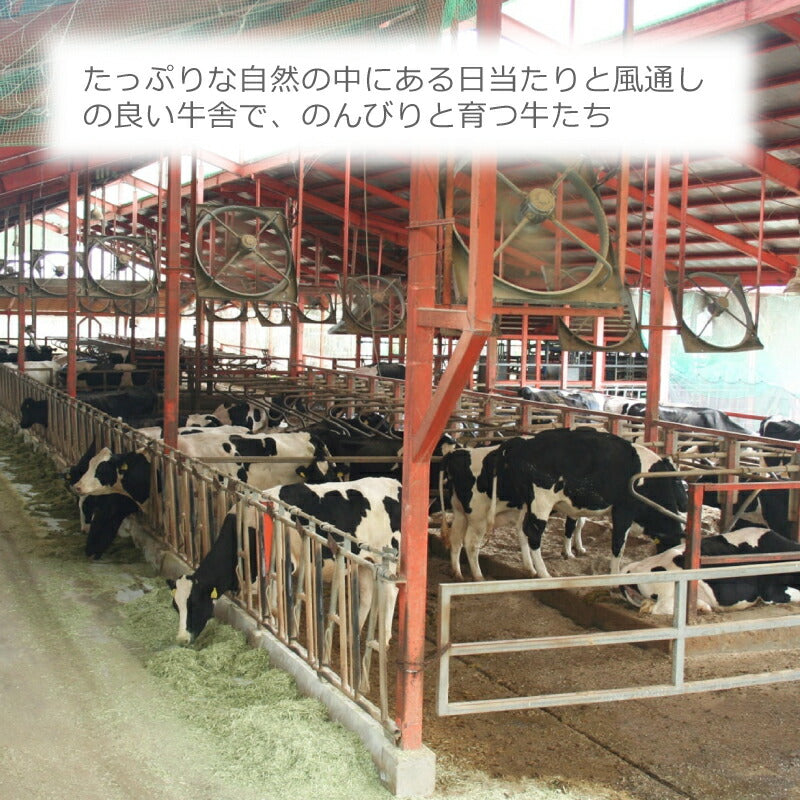 京都・美山町の自然から届く 美山牛乳900ml×6本セット｜産地直送・低温殺菌