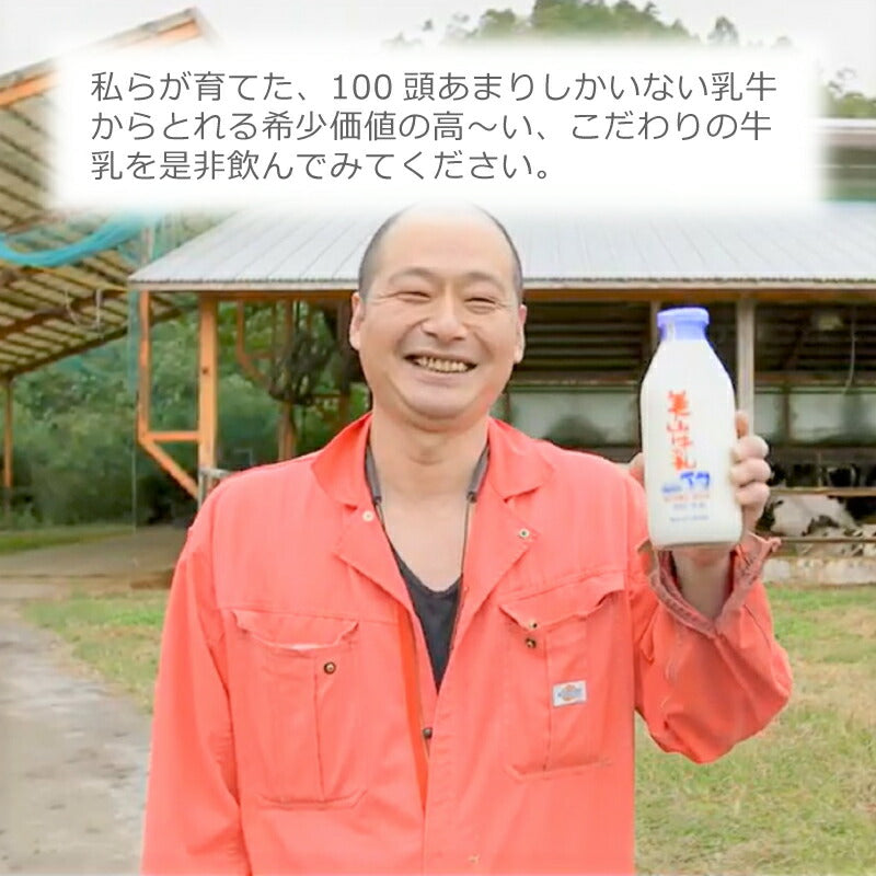 京都・美山町の自然から届く 美山牛乳900ml×6本セット｜産地直送・低温殺菌