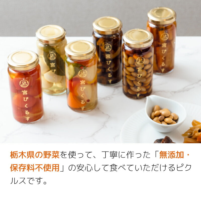 【ギフト箱入り】宮ぴくるす 無添加ピクルス｜栃木産野菜×老舗酢蔵仕込み おしゃれな贈り物にも