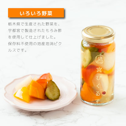 【ギフト箱入り】宮ぴくるす 無添加ピクルス｜栃木産野菜×老舗酢蔵仕込み おしゃれな贈り物にも