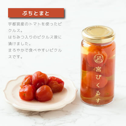【ギフト箱入り】宮ぴくるす 無添加ピクルス｜栃木産野菜×老舗酢蔵仕込み おしゃれな贈り物にも