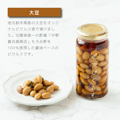【ギフト箱入り】宮ぴくるす 無添加ピクルス｜栃木産野菜×老舗酢蔵仕込み おしゃれな贈り物にも