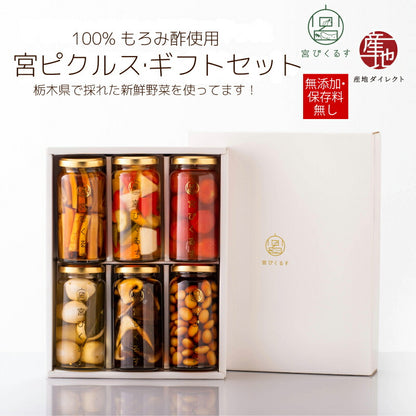 【ギフト箱入り】宮ぴくるす 無添加ピクルス｜栃木産野菜×老舗酢蔵仕込み おしゃれな贈り物にも