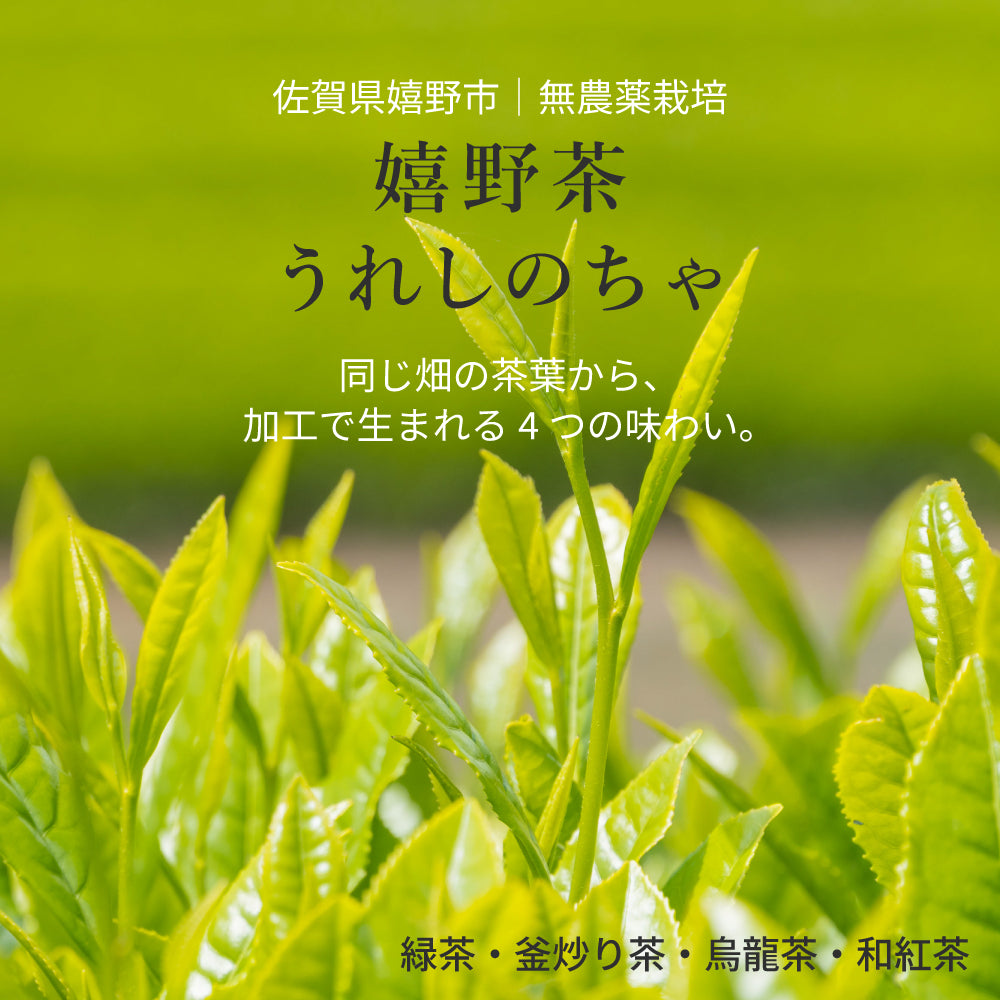 【国産・無添加】嬉野茶農家直送｜和紅茶・緑茶・釜炒り茶｜選べる3種｜香り豊か・コク深い｜べにふうき・粉末・リーフ・ティーバッグ｜飲み比べOK