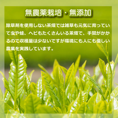 【無添加 無農薬栽培 】嬉野茶 釜炒り茶 蒸製玉緑茶 紅茶 リーフ ティーバッグ うれしの和紅茶