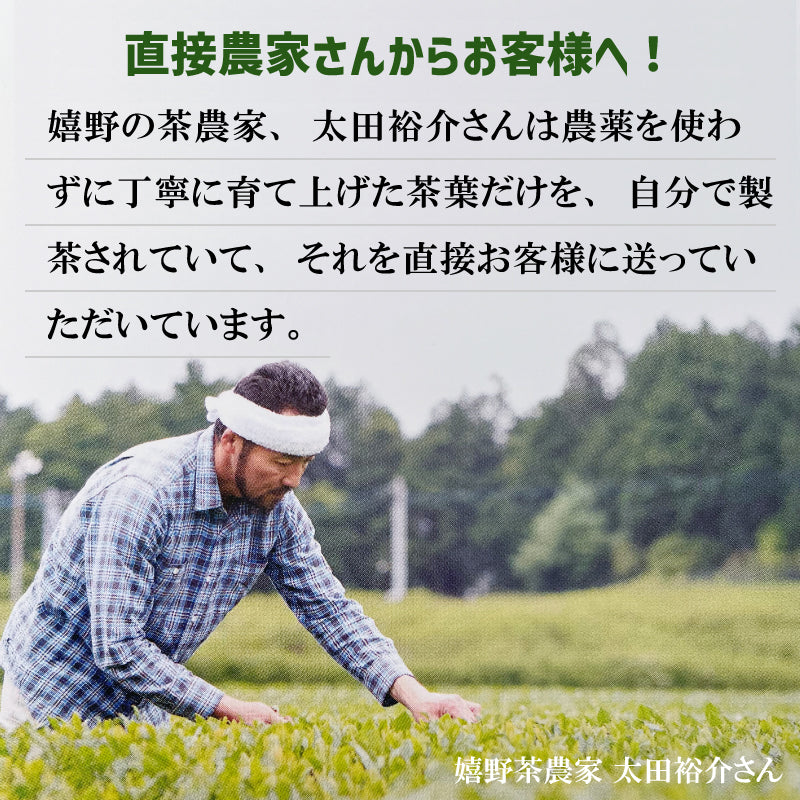 【無添加 無農薬栽培 】嬉野茶 釜炒り茶 蒸製玉緑茶 紅茶 リーフ ティーバッグ うれしの和紅茶
