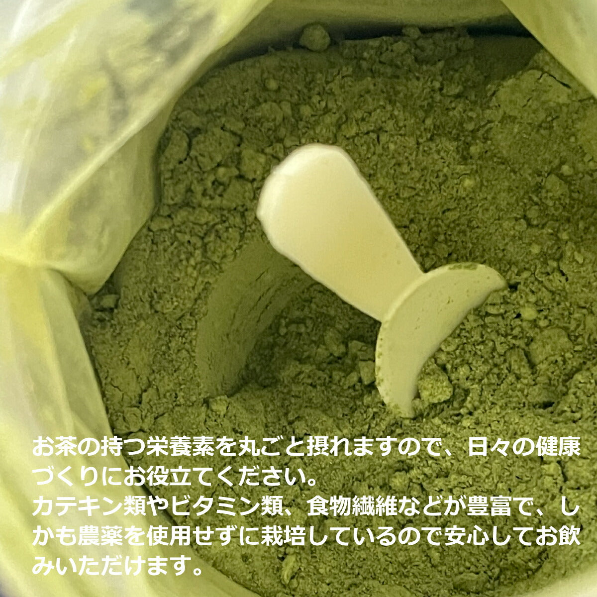 無農薬栽培 嬉野茶 粉末緑茶｜農家直送 100g缶・50g袋 栄養素まるごと摂取