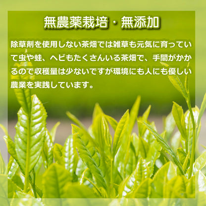 無農薬栽培 嬉野茶 粉末緑茶｜農家直送 100g缶・50g袋 栄養素まるごと摂取