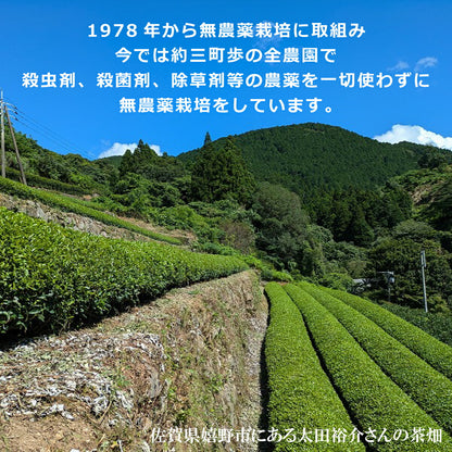 無農薬栽培 嬉野茶 粉末緑茶｜農家直送 100g缶・50g袋 栄養素まるごと摂取