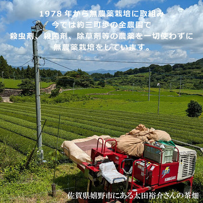 無農薬栽培 嬉野茶 粉末緑茶｜農家直送 100g缶・50g袋 栄養素まるごと摂取