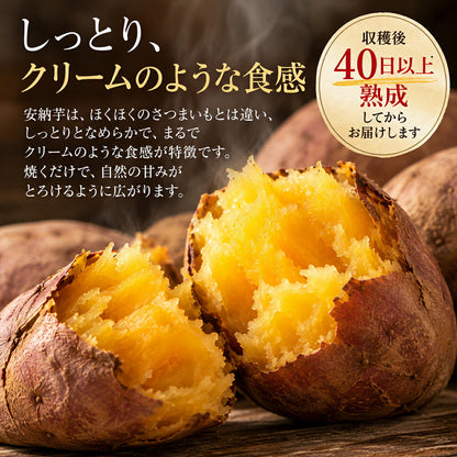 安納芋 3kg 5kg 種子島産 さつまいも（S・M・L混合） 国産 鹿児島県産 40日以上熟成 しっとり ねっとり 甘い 焼き芋 お取り寄せ 数量限定 先行予約 11月中旬より順次発送