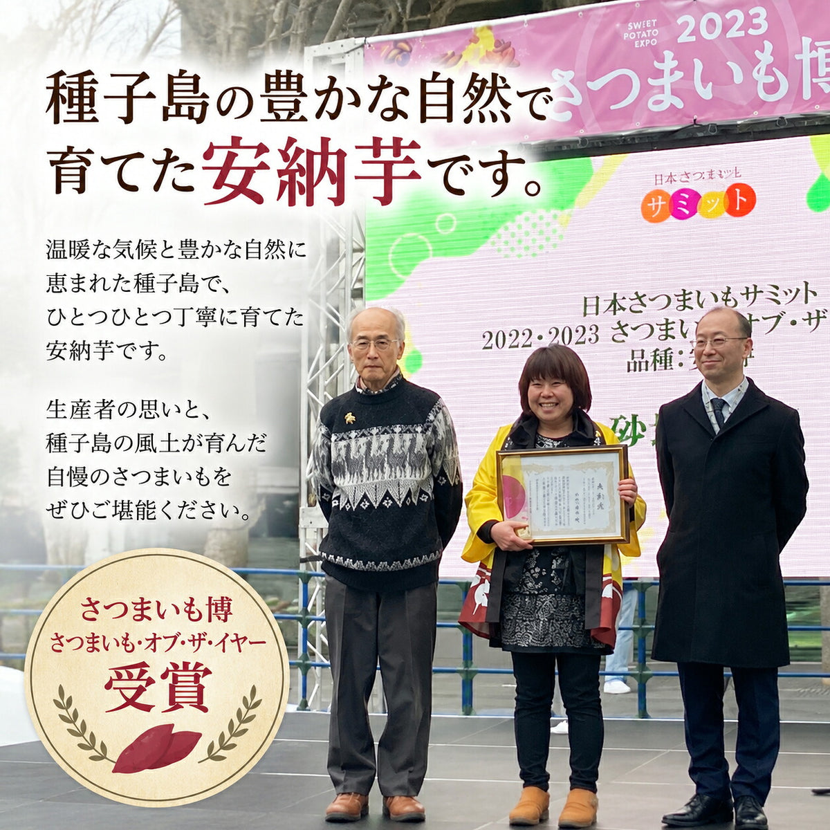 安納芋 3kg 5kg 種子島産 さつまいも（S・M・L混合） 国産 鹿児島県産 40日以上熟成 しっとり ねっとり 甘い 焼き芋 お取り寄せ 数量限定 先行予約 11月中旬より順次発送