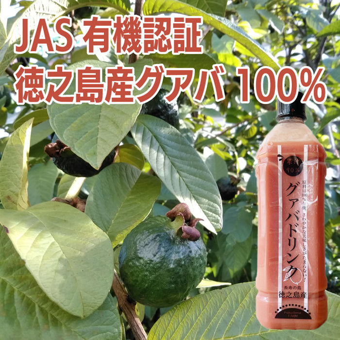 有機JAS認定 徳之島産グアバジュース 900ml 果汁90％ 加糖タイプ 羽田空港カフェ提供 南国トロピカルドリンク 冷凍保存可