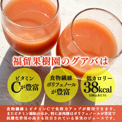 有機JAS認定 徳之島産グアバジュース 900ml 果汁90％ 加糖タイプ 羽田空港カフェ提供 南国トロピカルドリンク 冷凍保存可