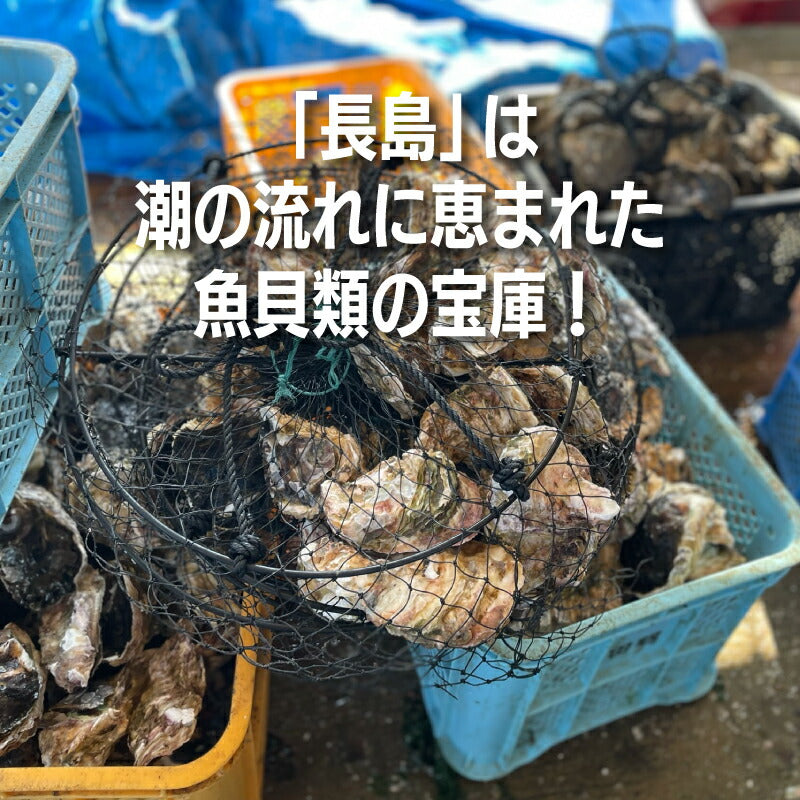 【夏限定】鹿児島県長島産の大粒岩牡蠣｜濃厚クリーミーな味わいが楽しめる旬の海の幸！潮流豊かな海域育ちの絶品岩ガキ
