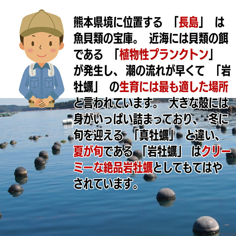 【夏限定】鹿児島県長島産の大粒岩牡蠣｜濃厚クリーミーな味わいが楽しめる旬の海の幸！潮流豊かな海域育ちの絶品岩ガキ