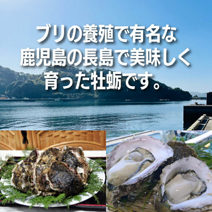 【夏限定】鹿児島県長島産の大粒岩牡蠣｜濃厚クリーミーな味わいが楽しめる旬の海の幸！潮流豊かな海域育ちの絶品岩ガキ