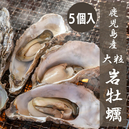 【夏限定】鹿児島県長島産の大粒岩牡蠣｜濃厚クリーミーな味わいが楽しめる旬の海の幸！潮流豊かな海域育ちの絶品岩ガキ
