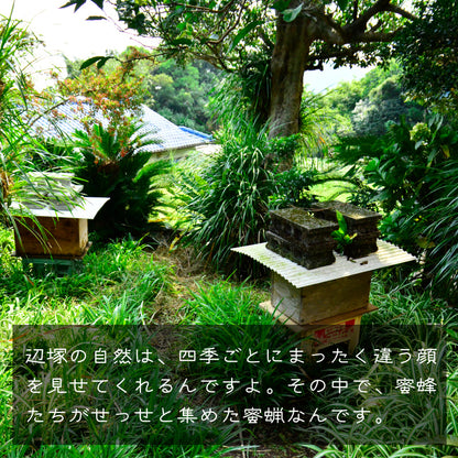 鹿児島・辺塚産｜日本蜜蜂の天然蜜蝋100％｜キャンドル・ハンドクリーム・ワックスに使える自然素材