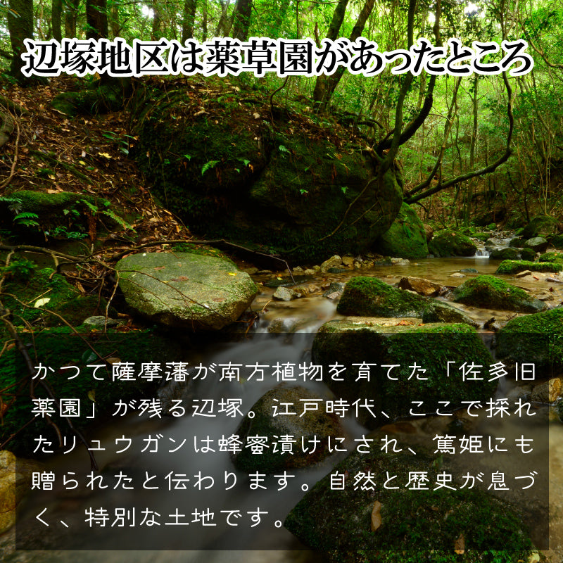 鹿児島・辺塚産｜日本蜜蜂の天然蜜蝋100％｜キャンドル・ハンドクリーム・ワックスに使える自然素材