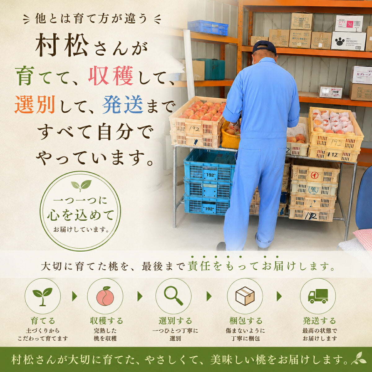 「桃は育て方でここまで変わる。」武藤農法で育てた村松農園の白桃 残留農薬ゼロ 有機肥料栽培 山梨県笛吹市産 白桃 ギフト 贈答 お中元