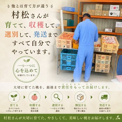 「桃は育て方でここまで変わる。」武藤農法で育てた村松農園の白桃 残留農薬ゼロ 有機肥料栽培 山梨県笛吹市産 白桃 ギフト 贈答 お中元