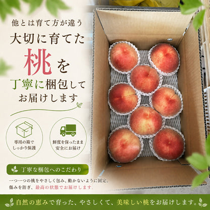 「桃は育て方でここまで変わる。」武藤農法で育てた村松農園の白桃 残留農薬ゼロ 有機肥料栽培 山梨県笛吹市産 白桃 ギフト 贈答 お中元