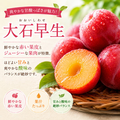 山梨県笛吹市産 すもも 42玉入り 約4kg 減農薬栽培 産地直送 村松農園