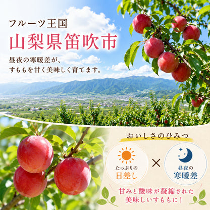 山梨県笛吹市産 すもも 42玉入り 約4kg 減農薬栽培 産地直送 村松農園