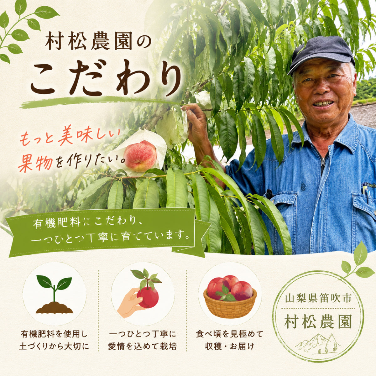 山梨県笛吹市産 すもも 42玉入り 約4kg 減農薬栽培 産地直送 村松農園
