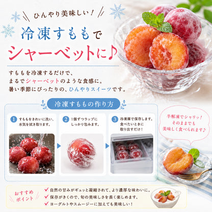 山梨県笛吹市産 すもも 42玉入り 約4kg 減農薬栽培 産地直送 村松農園